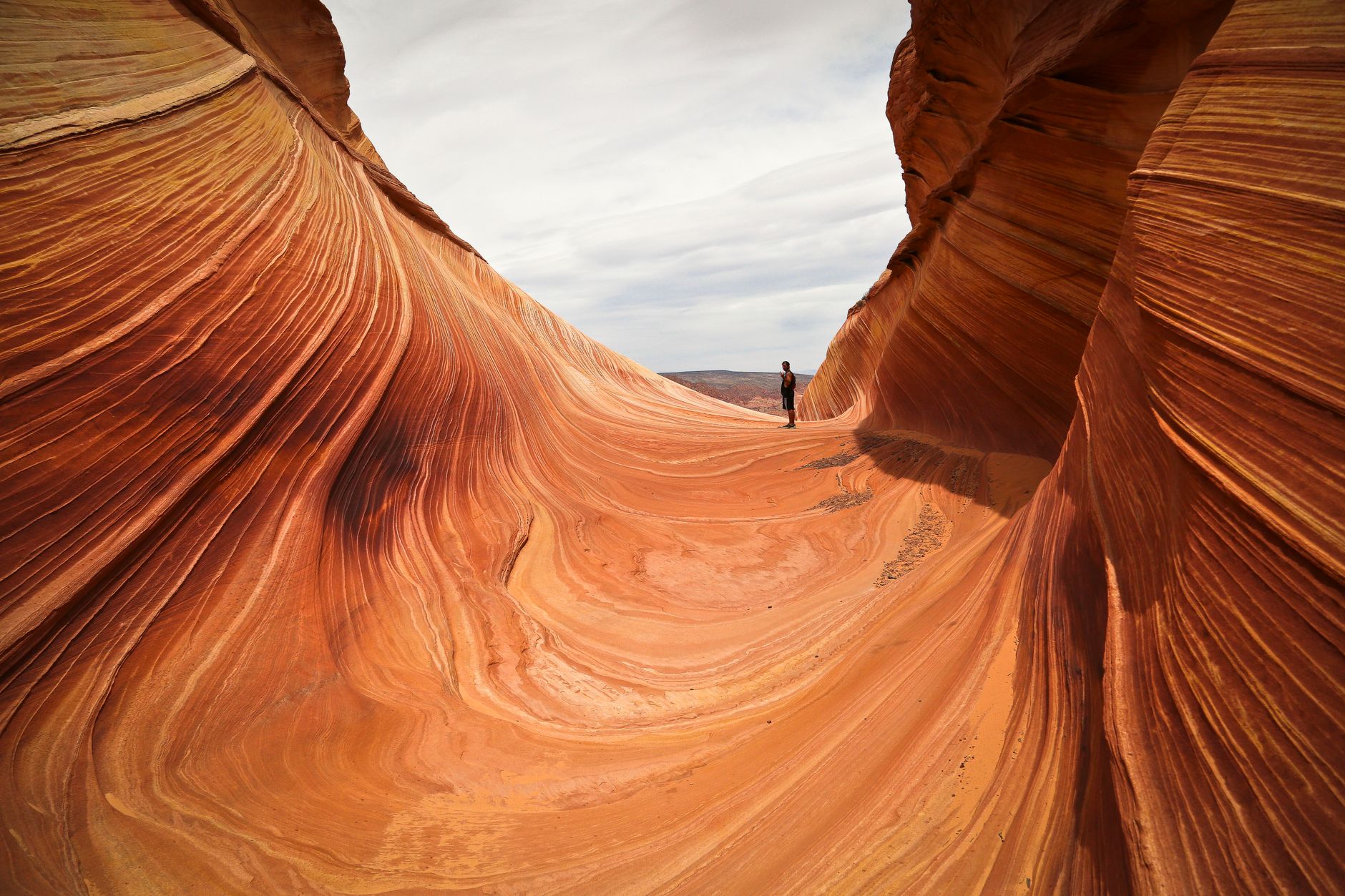 Desert canyon in golden light